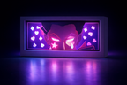Hisoka - Hunter X Hunter Original Anime Light box