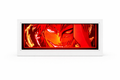 Ichigo Kurosaki- Half Hallow- The Bleach Original Anime Light box
