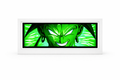 Broly - Dragon Ball Z Original Anime Light box