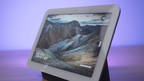 Google Nest Hub (1st Generation)