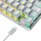 Newskill Serike TKL RGB Mechanical Gaming Keyboard