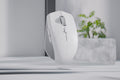 Razer Pro Click Mini Wireless Mouse