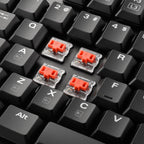 Sharkoon PureWriter TKL Mechanical Keyboard