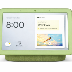 Google Nest Hub (1st Generation) - Green